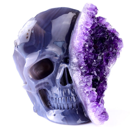Nicedony Unique 4.9" Amethyst Druse Agate Hand Carved Crystal Geode Skull Sculpture - View 2