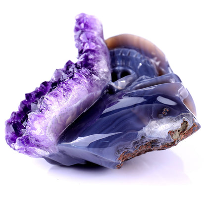 Nicedony Unique 4.9" Amethyst Druse Agate Hand Carved Crystal Geode Skull Sculpture - View 8