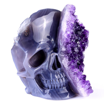 Nicedony Unique 4.9" Amethyst Druse Agate Hand Carved Crystal Geode Skull Sculpture - View 9