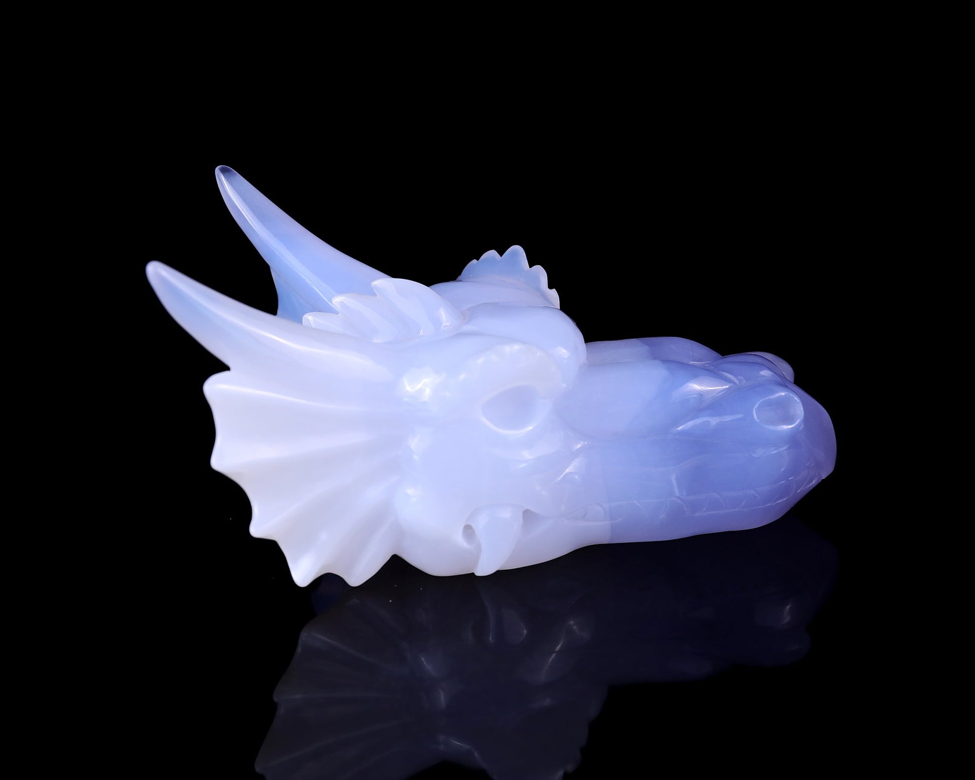 Nicedony 4.9" Blue Chalcedony Hand Carved Dragon Skull Sculpture - View 3