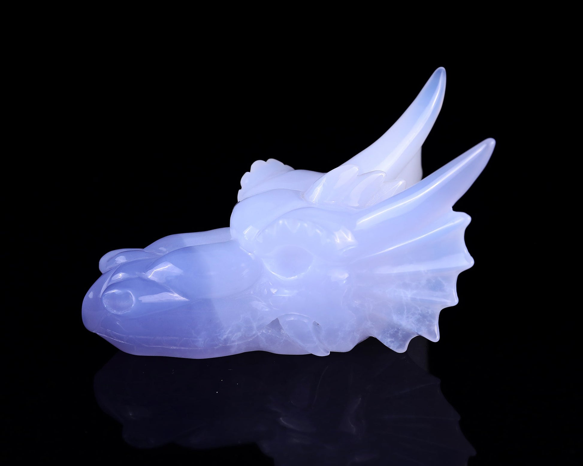 Nicedony 4.9" Blue Chalcedony Hand Carved Dragon Skull Sculpture - View 5