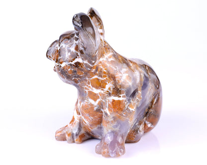 Nicedony 4.9" Chalcedony Hand Carved Crystal Koala Sculpture - View 7