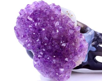 Nicedony 5.0" Amethyst Druse Agate Hand Carved Crystal Raven Skull Sculpture - View 7
