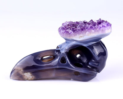 Nicedony 5.0" Amethyst Druse Agate Hand Carved Crystal Raven Skull Sculpture - View 4