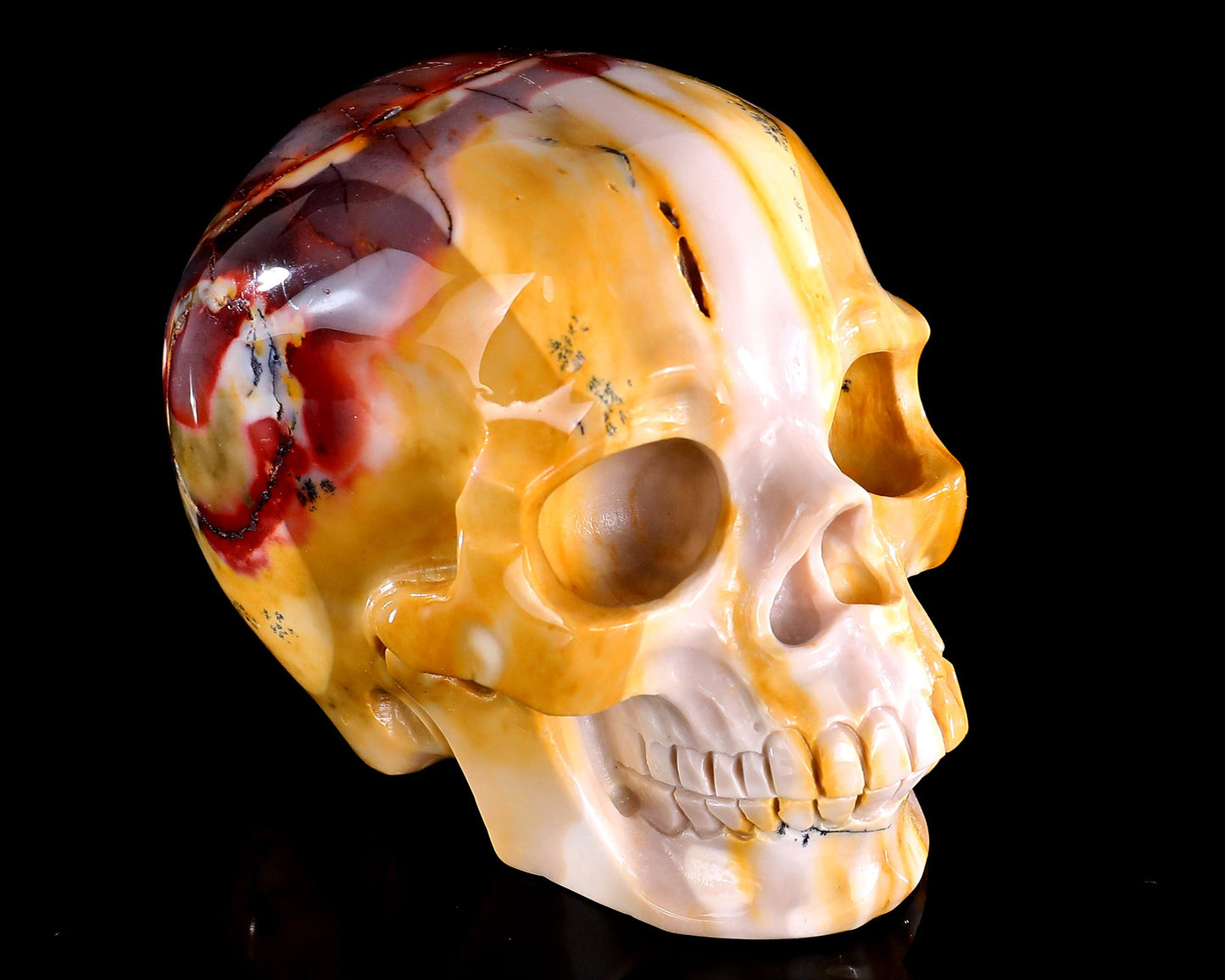 Nicedony 5.0" Colorful Mocha Agate Hand Carved Realistic Skull