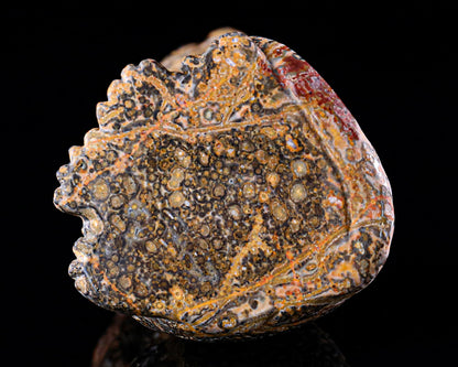 Nicedony 5.0" Leopard Skin Jasper Hand Carved Leopard Sculpture - View 27