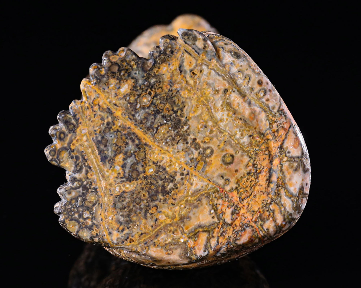 Nicedony 5.0" Leopard Skin Jasper Hand Carved Leopard Sculpture - View 34