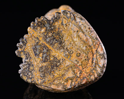 Nicedony 5.0" Leopard Skin Jasper Hand Carved Leopard Sculpture - View 34