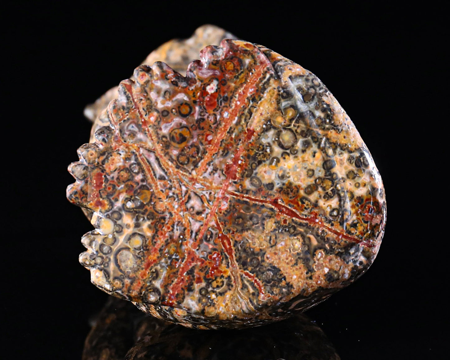 Nicedony 5.0" Leopard Skin Jasper Hand Carved Crystal Leopard Sculpture - View 7