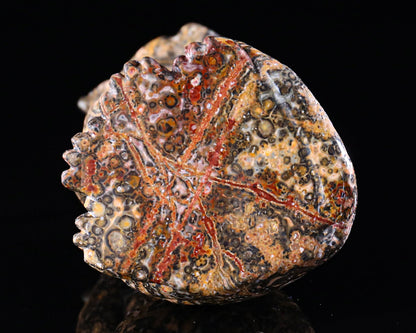 Nicedony 5.0" Leopard Skin Jasper Hand Carved Crystal Leopard Sculpture - View 7