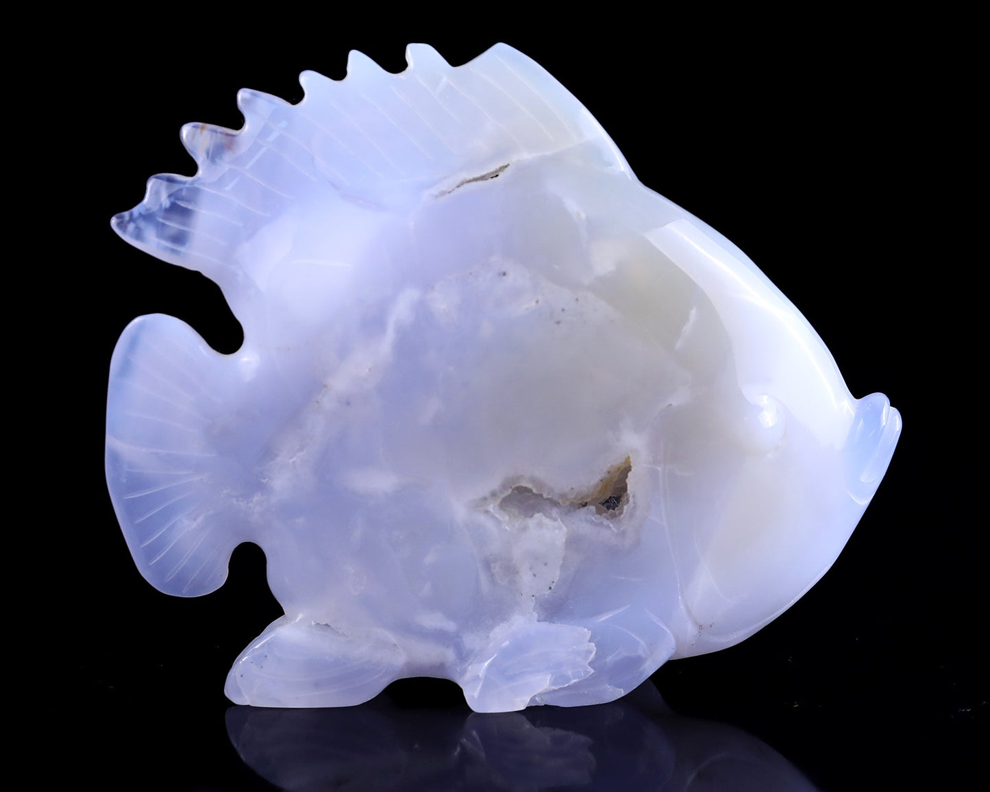 Nicedony 5.1" Blue Chalcedony Hand Carved Golden Fish Sculpture