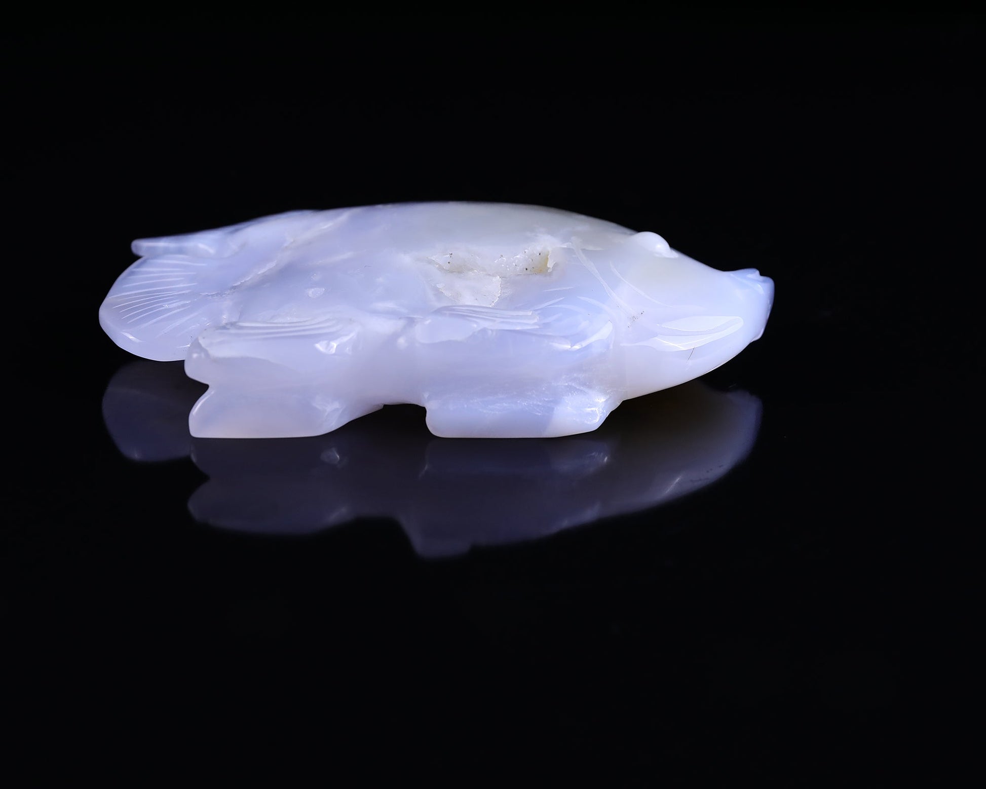 Nicedony 5.1" Blue Chalcedony Hand Carved Golden Fish Sculpture - View 6