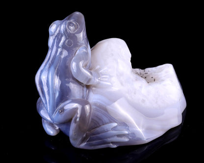 Nicedony 5.1" Geode Agate Hand Carved Crystal Frog Sculpture - View 4
