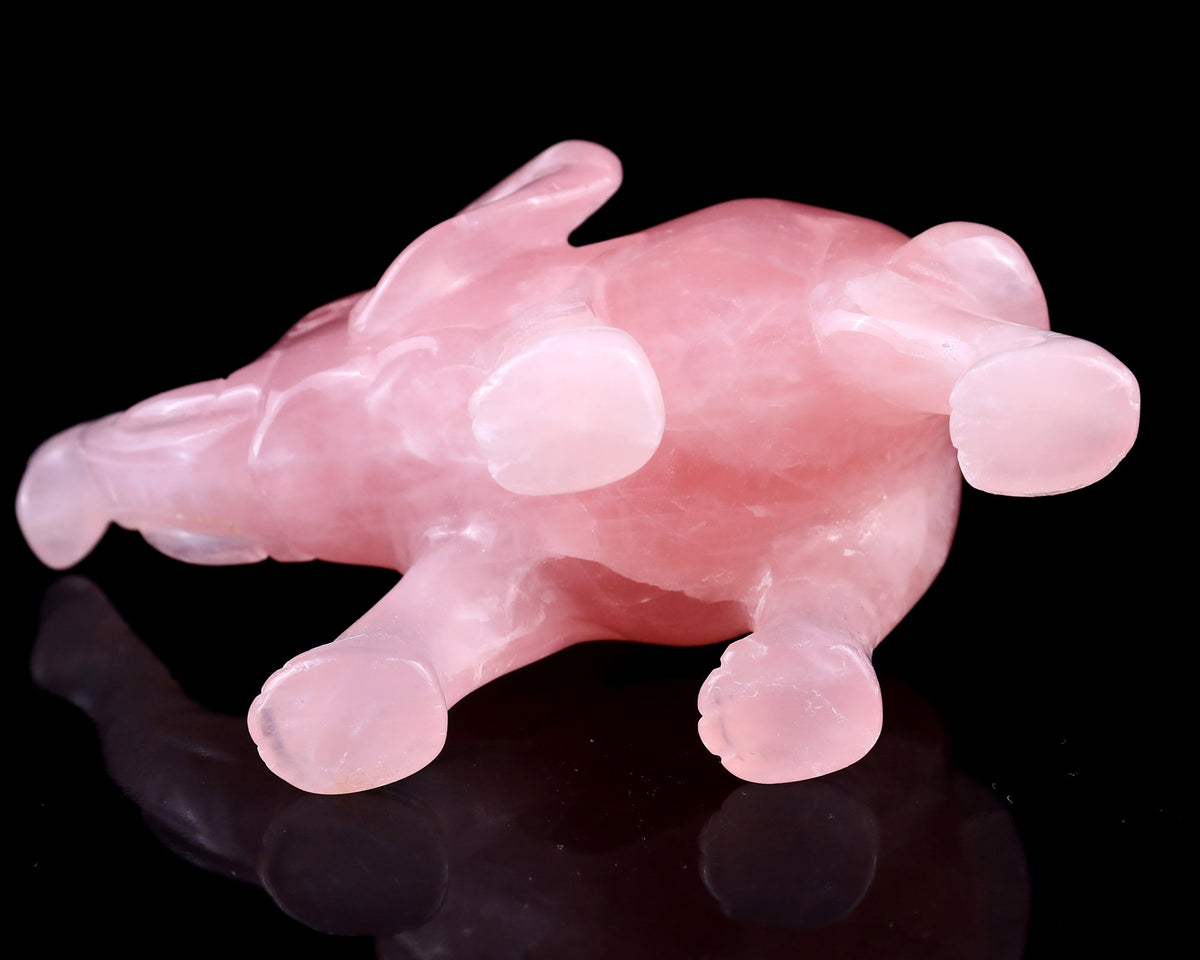 Why We Carve Animals