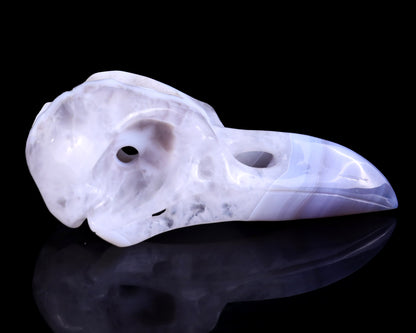 Nicedony 5.1" White Geode Agate Hand Carved Raven Skull Sculpture - View 3