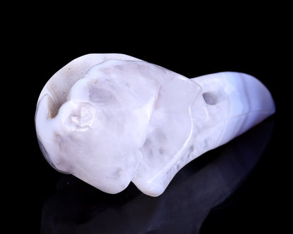 Nicedony 5.1" White Geode Agate Hand Carved Raven Skull Sculpture - View 4