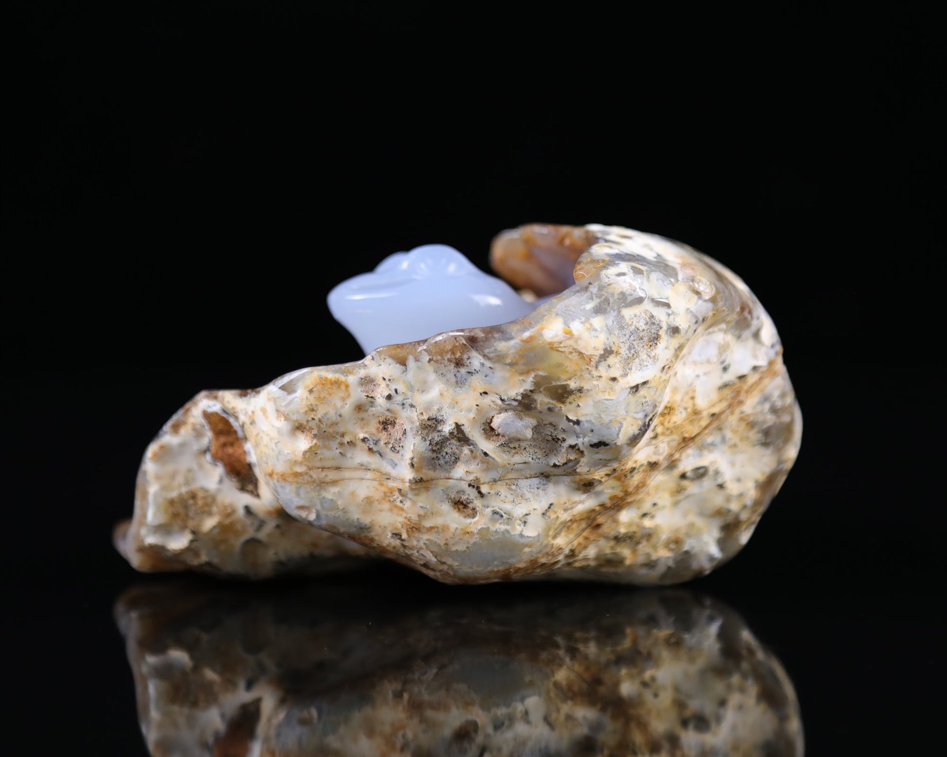 Nicedony 5.2" Blue Chalcedony Hand Carved Geode Frog Sculpture - View 6