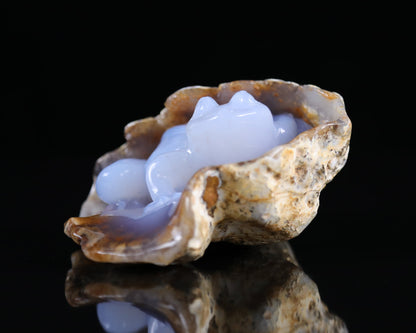 Nicedony 5.2" Blue Chalcedony Hand Carved Geode Frog Sculpture - View 7
