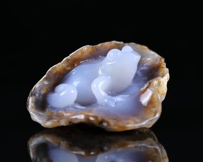 Nicedony 5.2" Blue Chalcedony Hand Carved Geode Frog Sculpture - View 9