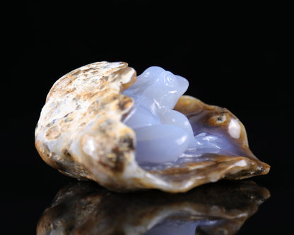 Nicedony 5.2" Blue Chalcedony Hand Carved Geode Frog Sculpture - View 4