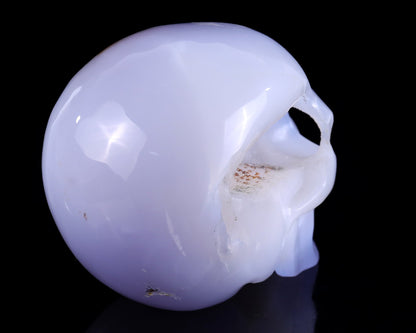 Nicedony 5.2" Blue Chalcedony Hand Carved Realistic Skull Sculpture - View 4