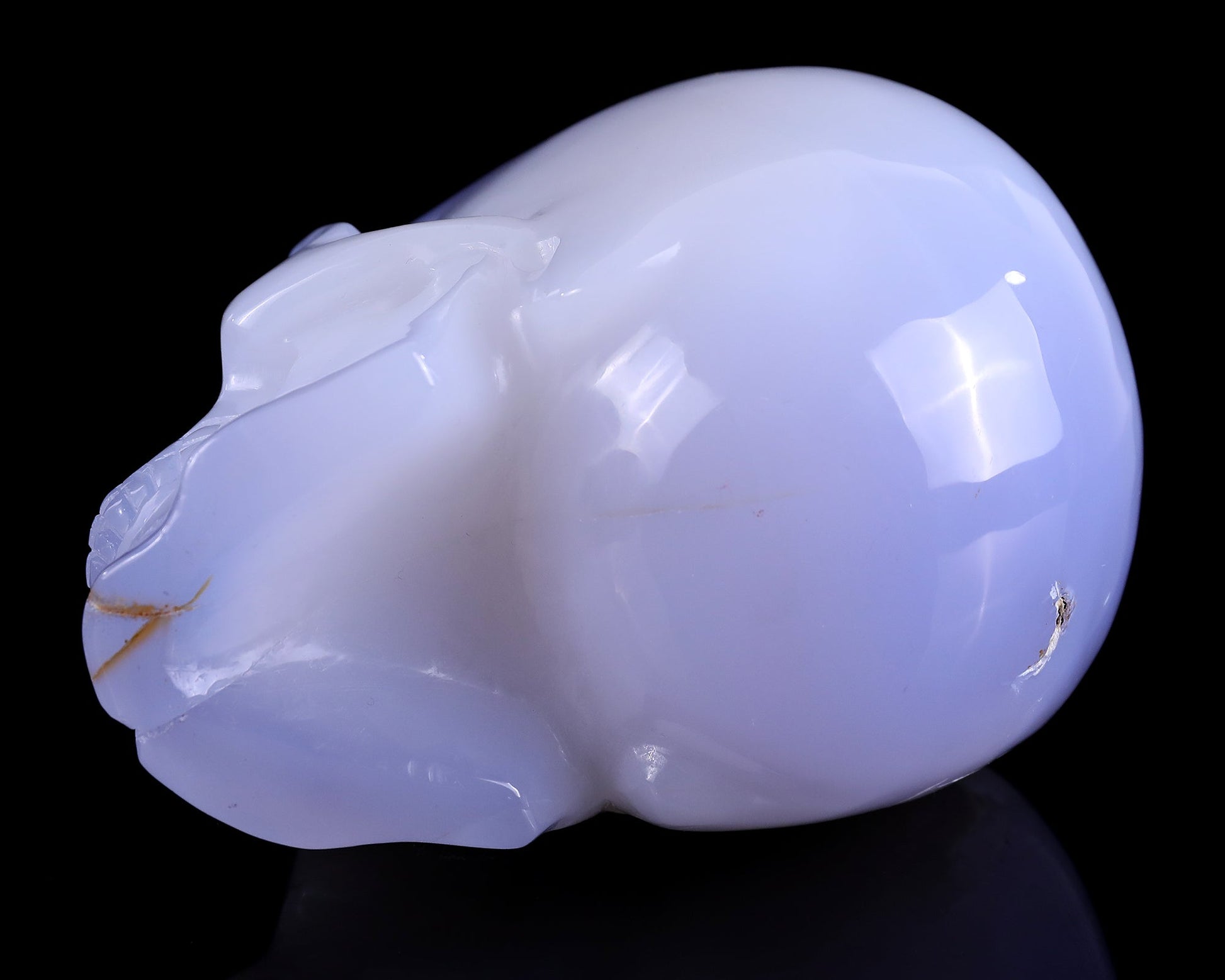 Nicedony 5.2" Blue Chalcedony Hand Carved Realistic Skull Sculpture - View 8