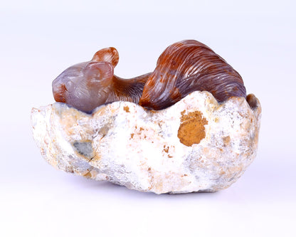 Nicedony 5.2" Chalcedony Hand Carved Crystal Squirrel Sculpture - View 5