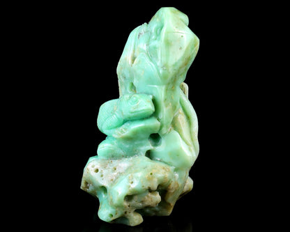 Nicedony 5.2" Green Opal Hand Carved Crystal Lizard Sculpture - View 7