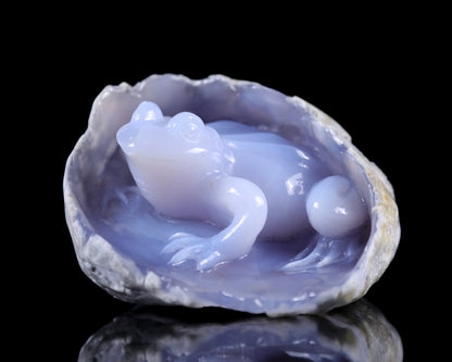 Nicedony 5.3" Blue Chalcedony Hand Carved Crystal Frog Sculpture - View 9