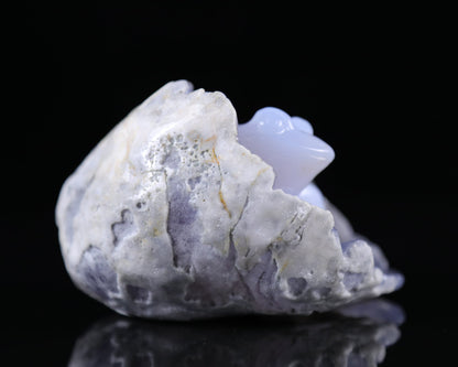 Nicedony 5.3" Blue Chalcedony Hand Carved Crystal Frog Sculpture - View 6