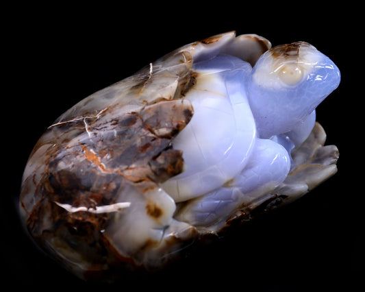 Nicedony 5.3" Blue Chalcedony Hand Carved Crystal Turtle Sculpture