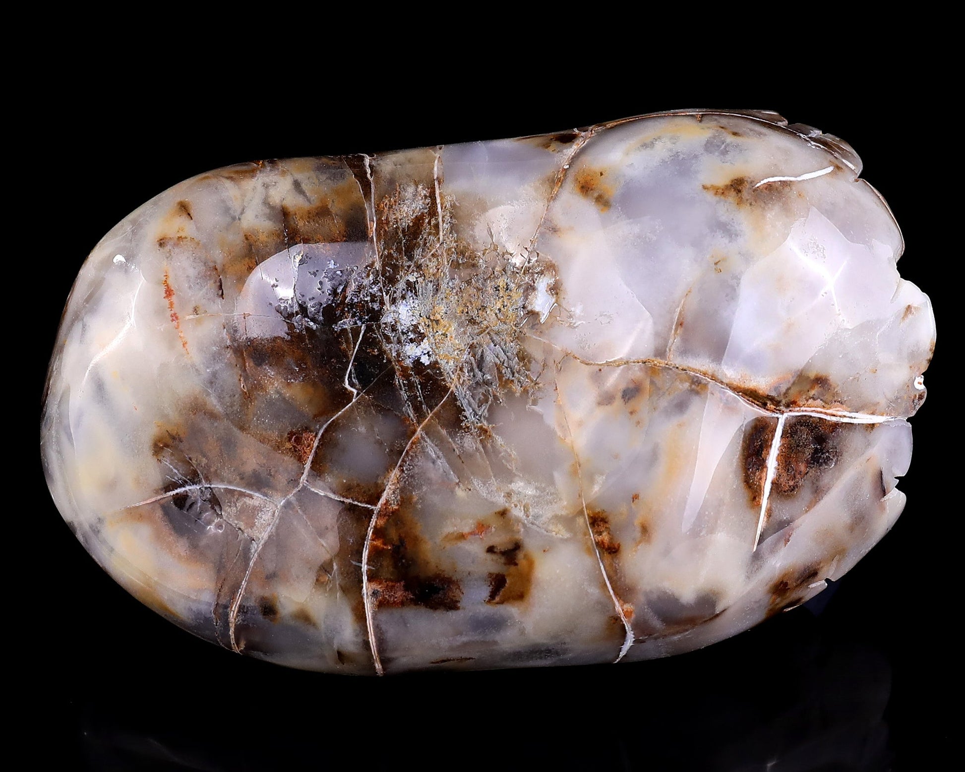 Nicedony 5.3" Blue Chalcedony Hand Carved Crystal Turtle Sculpture - View 9