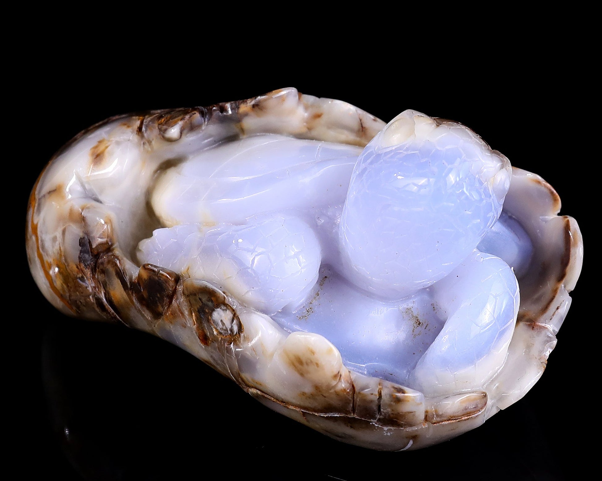 Nicedony 5.3" Blue Chalcedony Hand Carved Crystal Turtle Sculpture - View 2