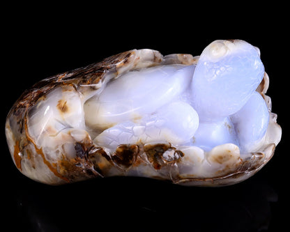 Nicedony 5.3" Blue Chalcedony Hand Carved Crystal Turtle Sculpture - View 3