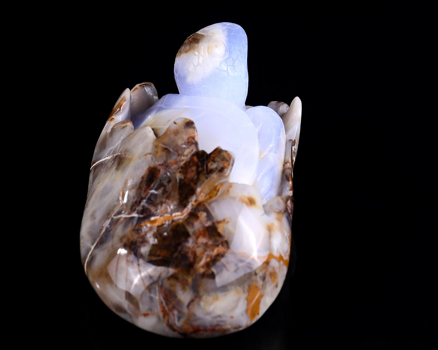 Nicedony 5.3" Blue Chalcedony Hand Carved Crystal Turtle Sculpture - View 4