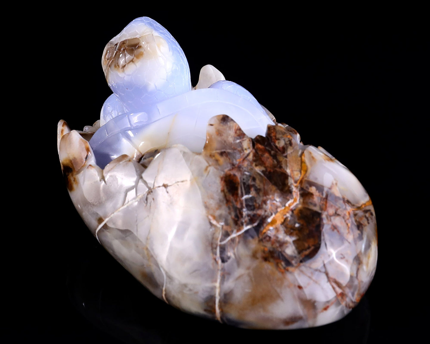 Nicedony 5.3" Blue Chalcedony Hand Carved Crystal Turtle Sculpture - View 5