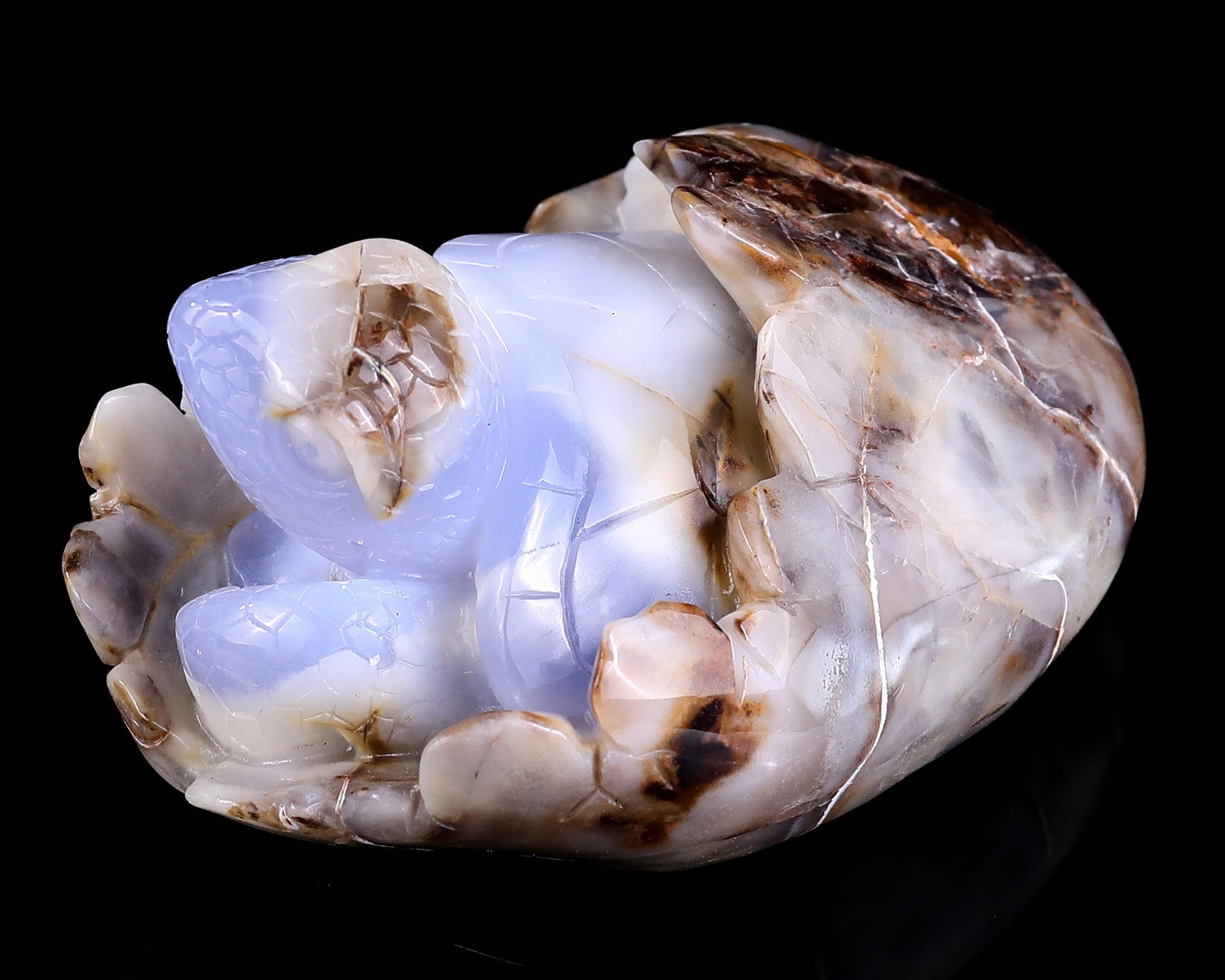 Nicedony 5.3" Blue Chalcedony Hand Carved Crystal Turtle Sculpture - View 7