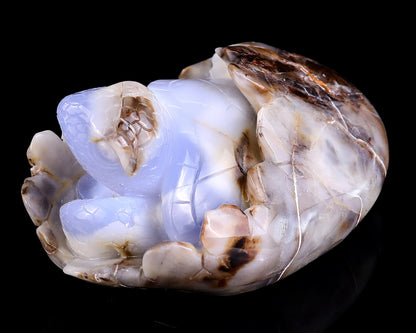 Nicedony 5.3" Blue Chalcedony Hand Carved Crystal Turtle Sculpture - View 7