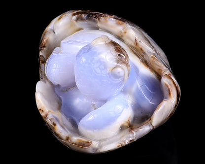 Nicedony 5.3" Blue Chalcedony Hand Carved Crystal Turtle Sculpture - View 8