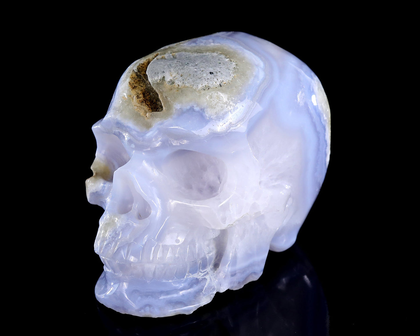 Nicedony 5.3" Blue Lace Agate Hand Carved Crystal Skull Sculpture - View 6