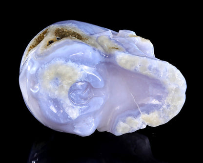 Nicedony 5.3" Blue Lace Agate Hand Carved Crystal Skull Sculpture - View 7