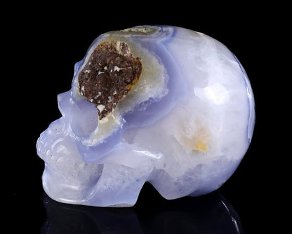Nicedony 5.3" Blue Lace Agate Hand Carved Crystal Skull Sculpture - View 12