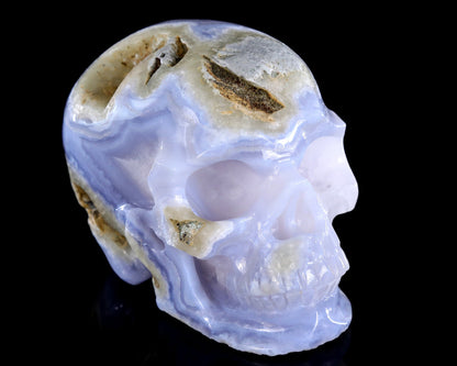 Nicedony 5.3" Blue Lace Agate Hand Carved Crystal Skull Sculpture - #4100423