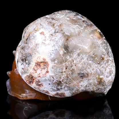 Nicedony 5.3" Chalcedony Hand Carved Crystal Snail Sculpture - View 4