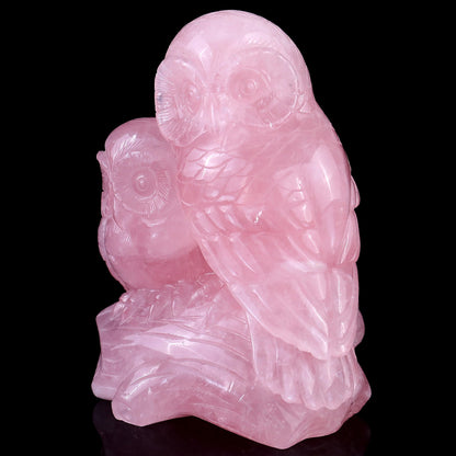 Nicedony 5.3" Rose Quartz Hand Carved Crystal Owls Sculpture - View 7