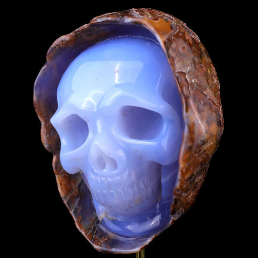 Nicedony 5.4" Blue Chalcedony Hand Carved Skull Sculpture