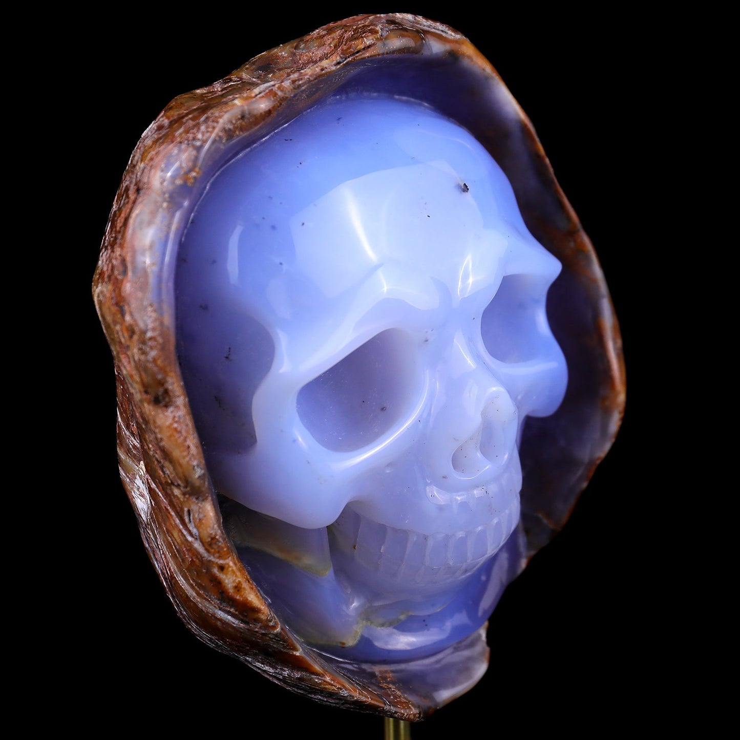 Nicedony 5.4" Blue Chalcedony Hand Carved Skull Sculpture - View 7
