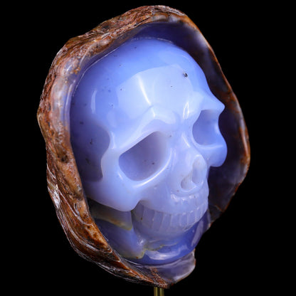 Nicedony 5.4" Blue Chalcedony Hand Carved Skull Sculpture - View 7