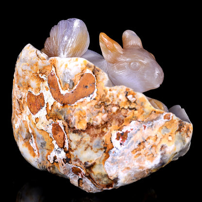 Nicedony 5.4" Chalcedony Hand Carved Crystal Squirrel Sculpture - View 7