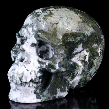 Nicedony 5.4" Moss Agate Hand Carved Realistic Skull Sculpture - View 7